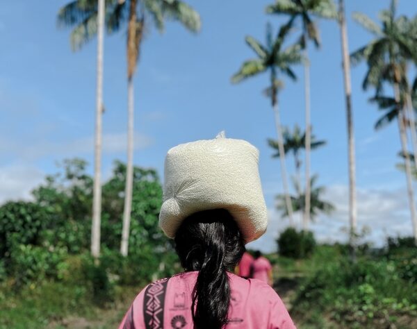 Mulheres lideram soluções climáticas locais no Brasil