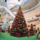 Boulevard Shopping celebra o “Natal Divertido dos Ursos”