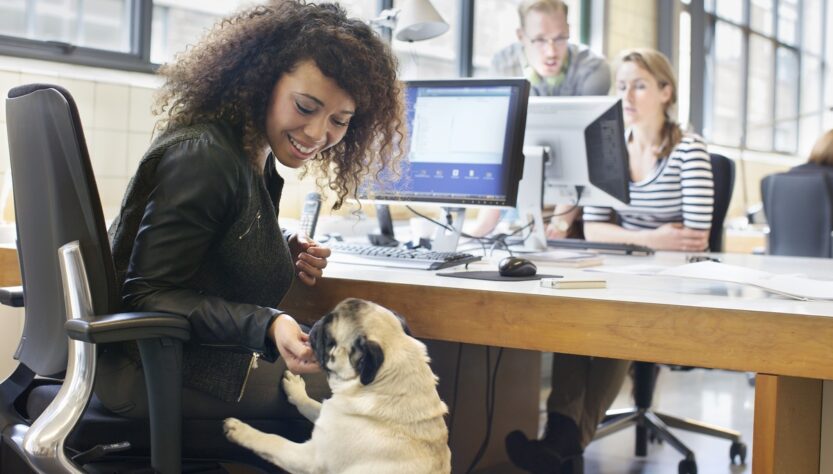 Escritórios abrem portas para os pets e colhem benefícios