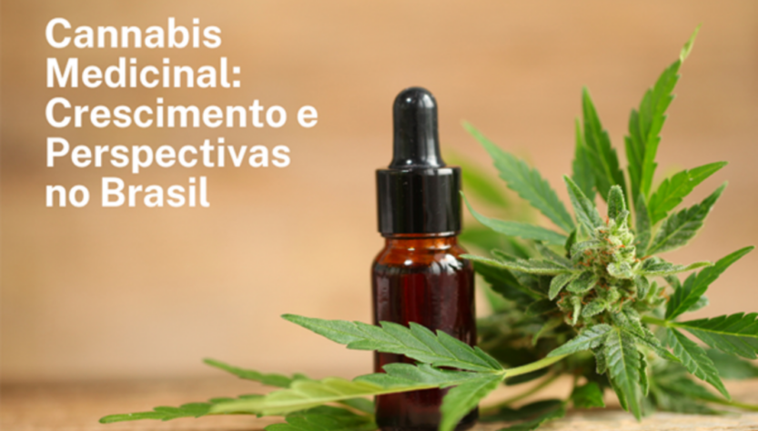 Cannabis medicinal demonstra crescimento otimista no Brasil