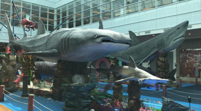 Exposições temáticas podem ser formas de aprender e se divertir