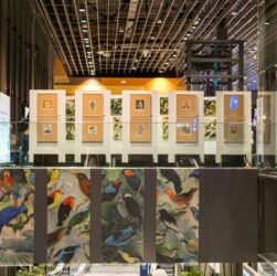 Exposição O Legado Suíço Brasileiro na Amazônia estará em cartaz em Natal - RN