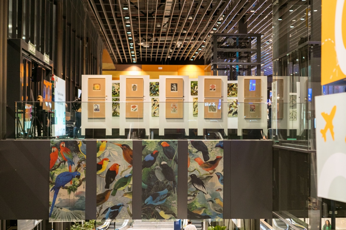 Exposição O Legado Suíço Brasileiro na Amazônia estará em cartaz em Natal - RN