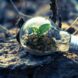 Sustentabilidade guia escolhas de 67% dos brasileiros