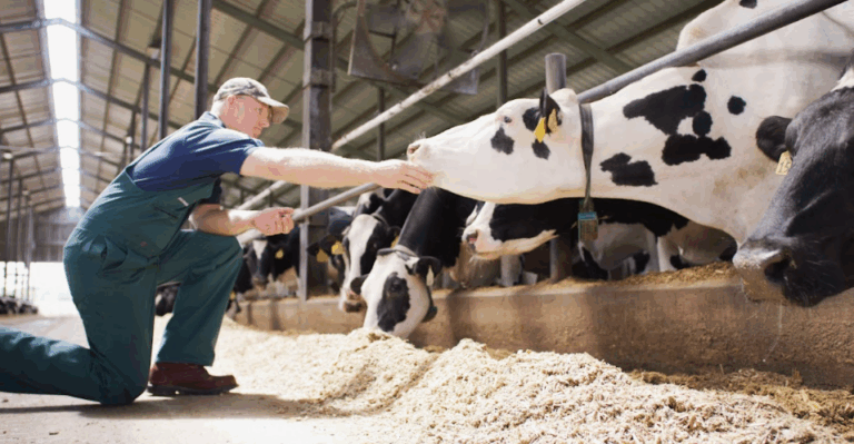 Elanco supera expectativas no 1º trimestre de 2025