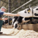 Elanco supera expectativas no 1º trimestre de 2025