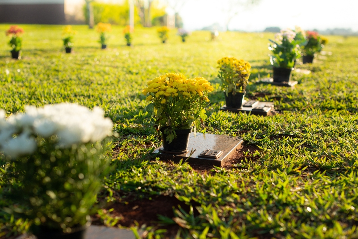 Dia do Luto (19/6) reforça a importância do acolhimento