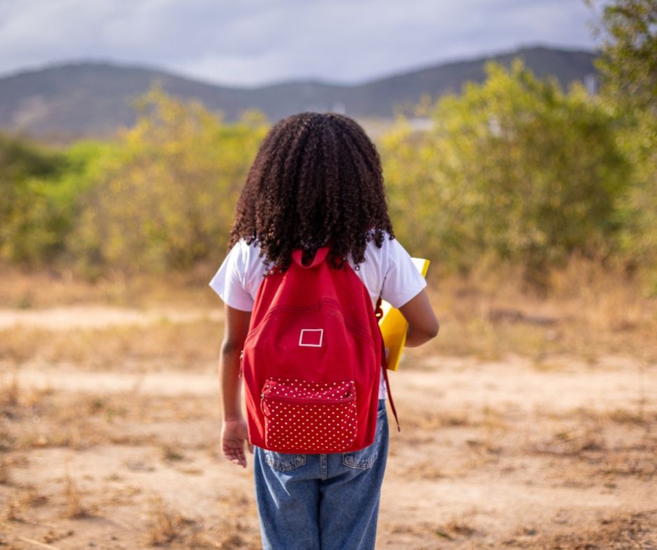 Doações via IRPF chegam a R$ 414 milhões em 2025