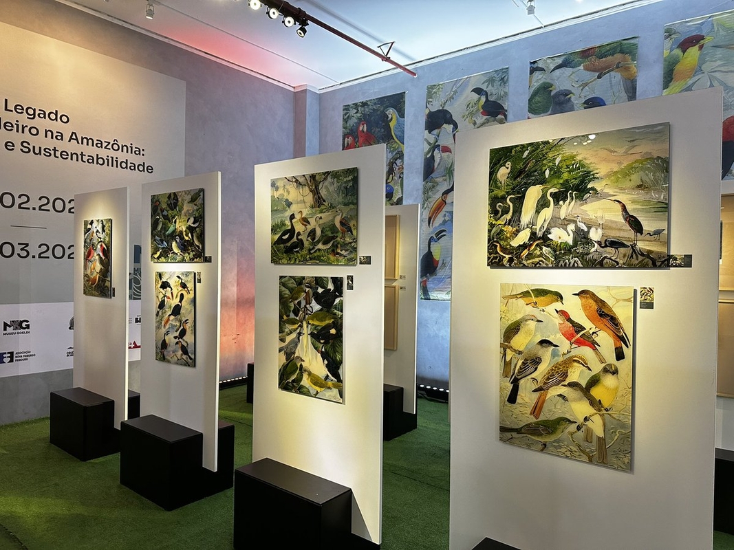 Exposição “Legado Suíço Brasileiro na Amazônia” será inaugurada em Manaus