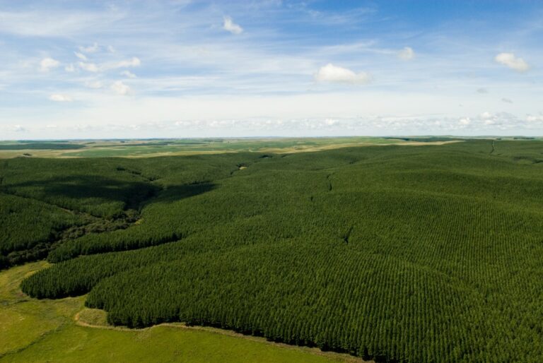 Guararapes apresenta relatório de sustentabilidade