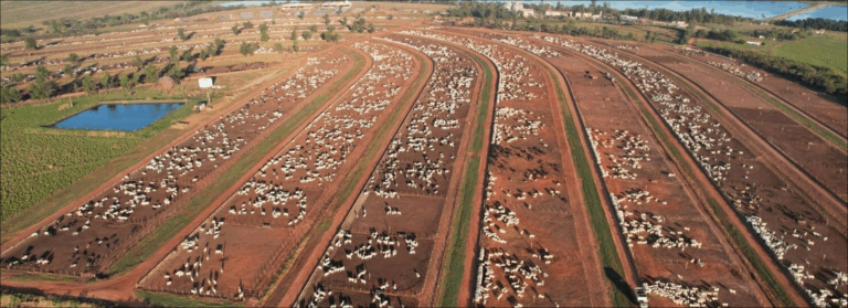 COLPAR AGRO - José Roberto Colnaghi, presidente do conselho de administração da Colpar Brasil | Agronegócio