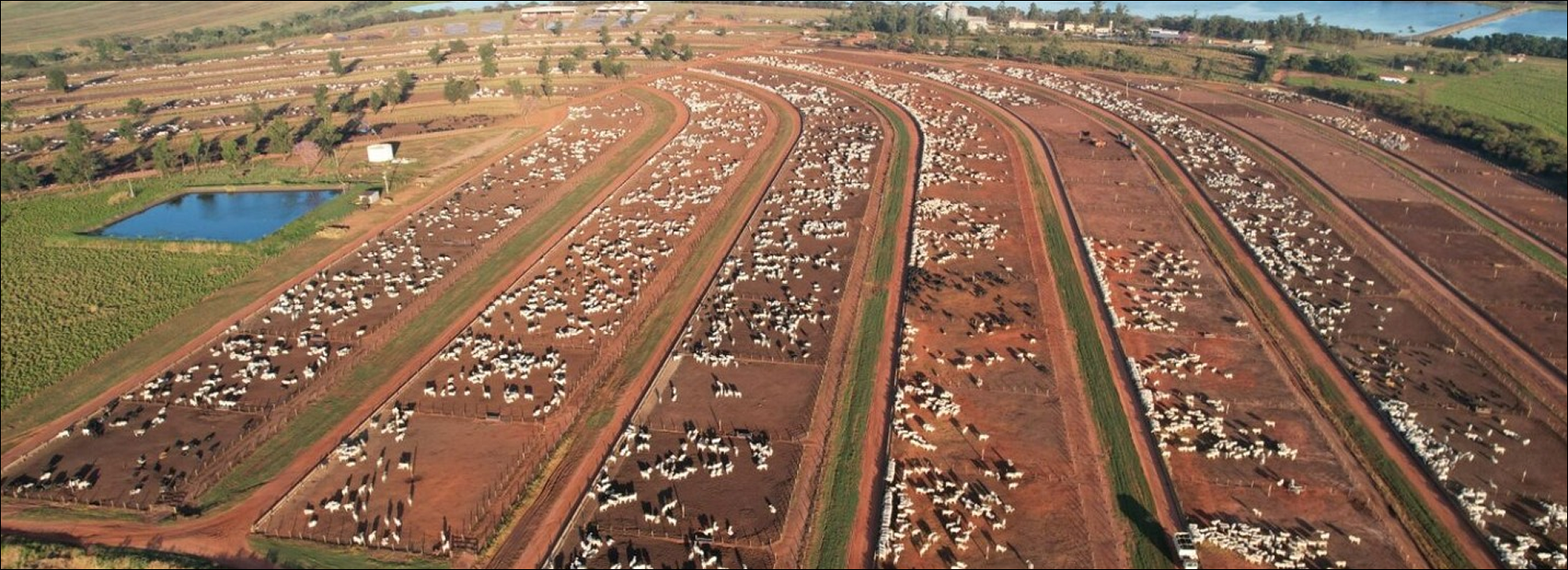 COLPAR AGRO - José Roberto Colnaghi, presidente do conselho de administração da Colpar Brasil | Agronegócio