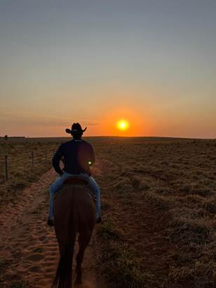 Imagem panorâmica das fazendas da Colpar Agro no Centro-Oeste brasileiro. Marca gerida pelo executivo José Roberto Colnaghi, presidente do conselho de administração da holding Colpar Brasil
